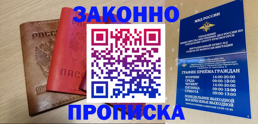 временная регистрация собственник в Мончегорске